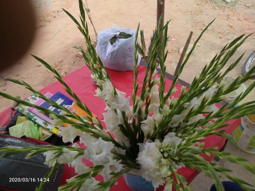 IMG20200316142402